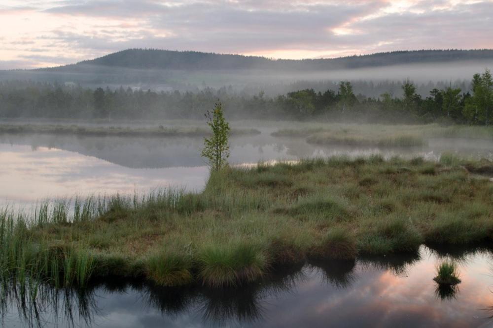 Penzion U Provaznika Zdíkov Esterno foto