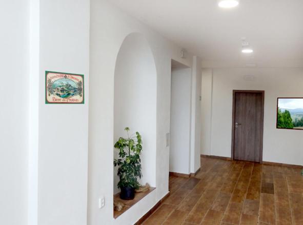 Penzion U Provaznika Zdíkov Esterno foto