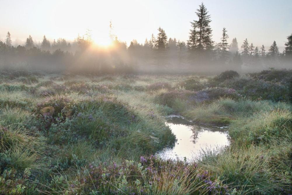 Penzion U Provaznika Zdíkov Esterno foto
